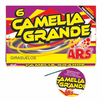 CAMÊLIA GRAN (6)